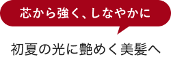 芯から強く、しなやかに 初夏の光に艶めく美髪へ