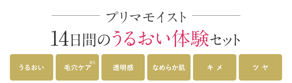プリマモイスト 14日間のうるおい体験セット うるおい 毛穴ケア※1 透明感 なめらか肌 キメ ツヤ
