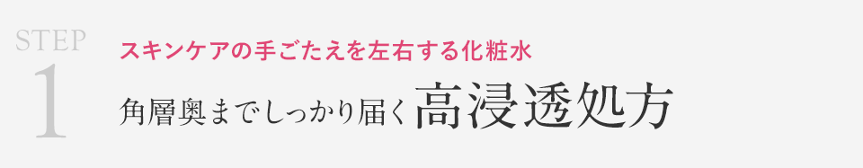 STEP1 スキンケアの手ごたえを左右する化粧水　角層奥までしっかり届く　高浸透処方