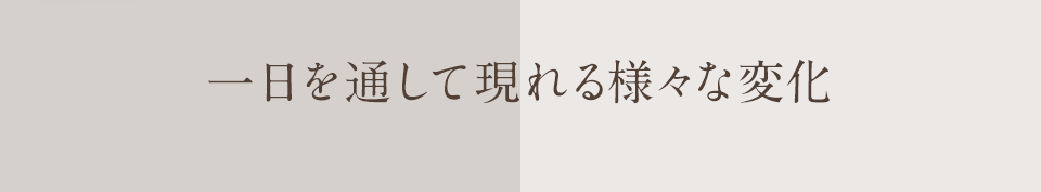 一日を通して現れる様々な変化