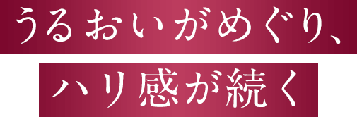 “角層に届く”肌に整えうるおいがめぐり、ハリ感が続く