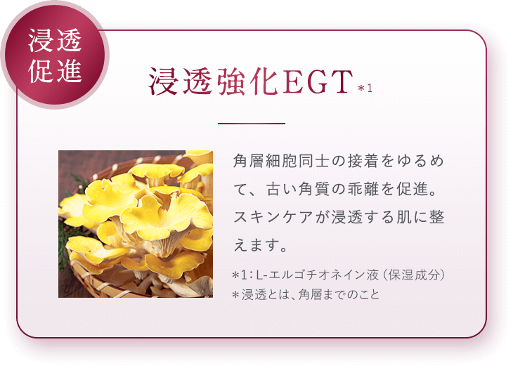 【浸透促進：浸透強化EGT*1】角層細胞同士の接着をゆるめて、古い角質の乖離を促進。スキンケアが浸透する肌に整えます。＊1：L-エルゴチオネイン液（保湿成分）＊浸透とは、角層までのこと