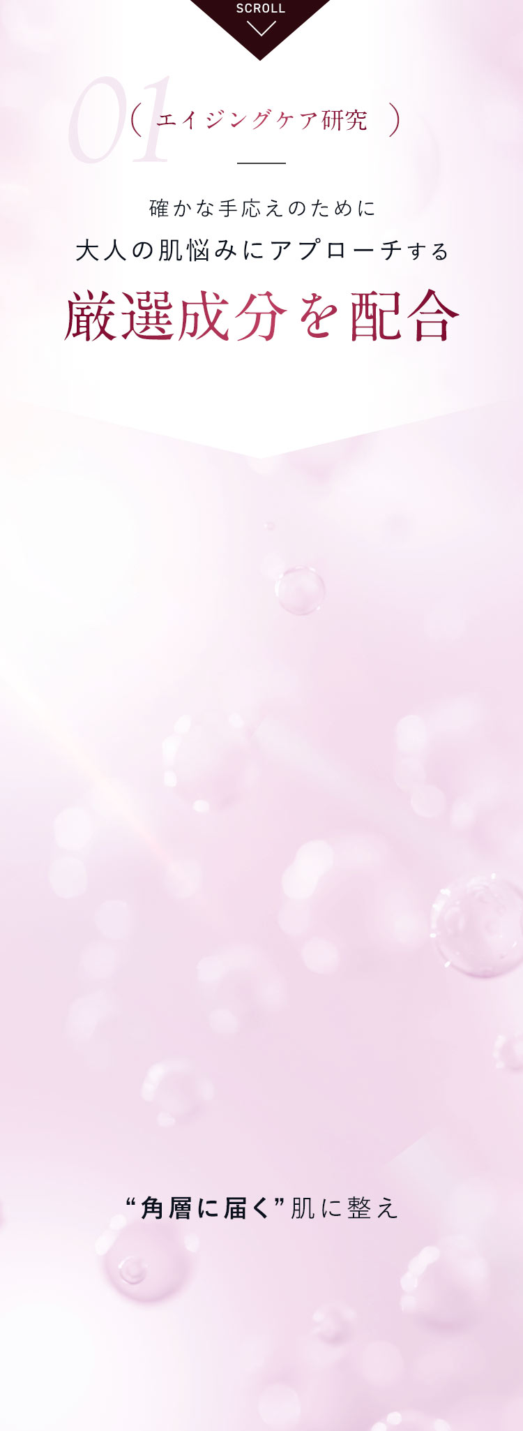 【01.エイジングケア研究】確かな手応えのために大人の肌悩みにアプローチする厳選成分を配合
