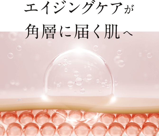 エイジングケアが角層に届く肌へ