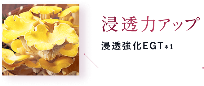 浸透力アップ：浸透強化EGT＊1