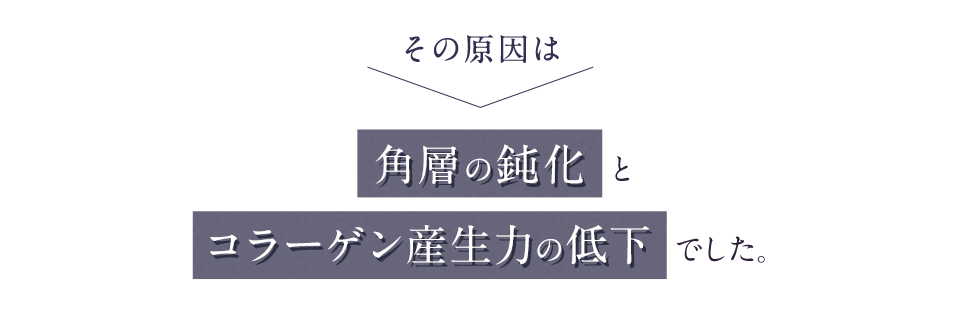 その原因は角層の鈍化とコラーゲン産生力の低下でした。