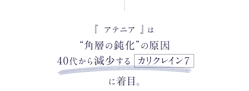 『アテニア』は“角層の鈍化”の原因40代から減少する「カリクレイン７」に着目。