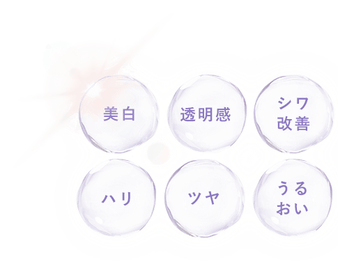 「美白」「透明感」「シワ改善」「ハリ」「ツヤ」「うるおい」