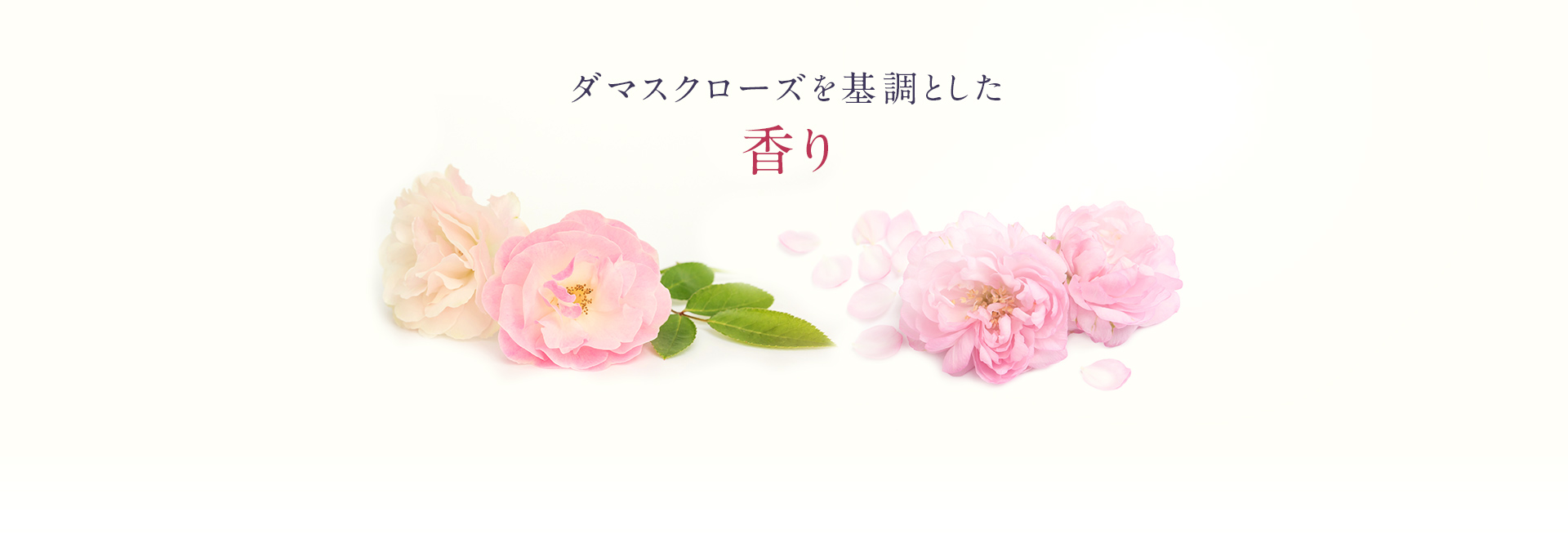 ダマスクローズを基調とした香り