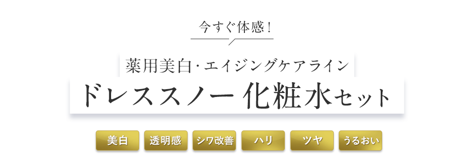 薬用美白・エイジングケアライン ドレススノー化粧水セット