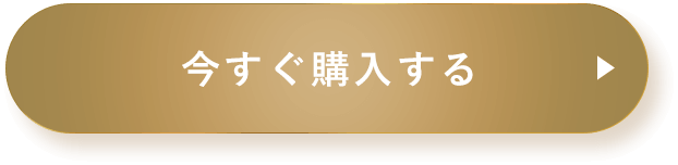 今すぐ購入する