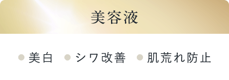 美容液[美白][シワ改善][肌荒れ防止]