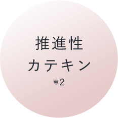 推進性カテキン