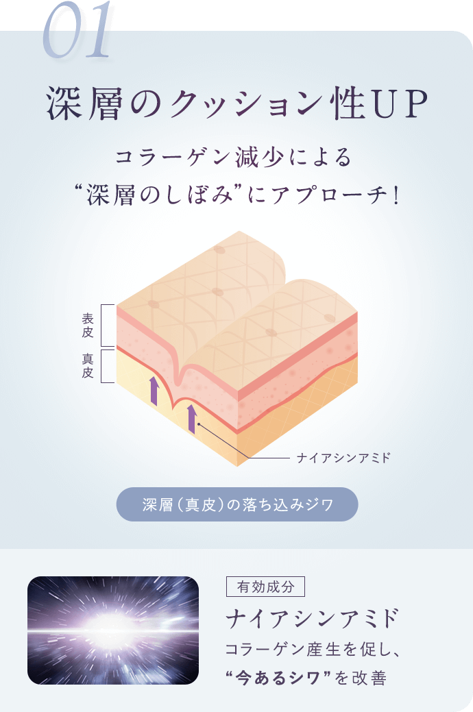 【01.深層のクッション性UP】コラーゲン減少による“深層のしぼみ”にアプローチ！【[有効成分]ナイアシンアミド：コラーゲン産生を促し、“今あるシワ”を改善】