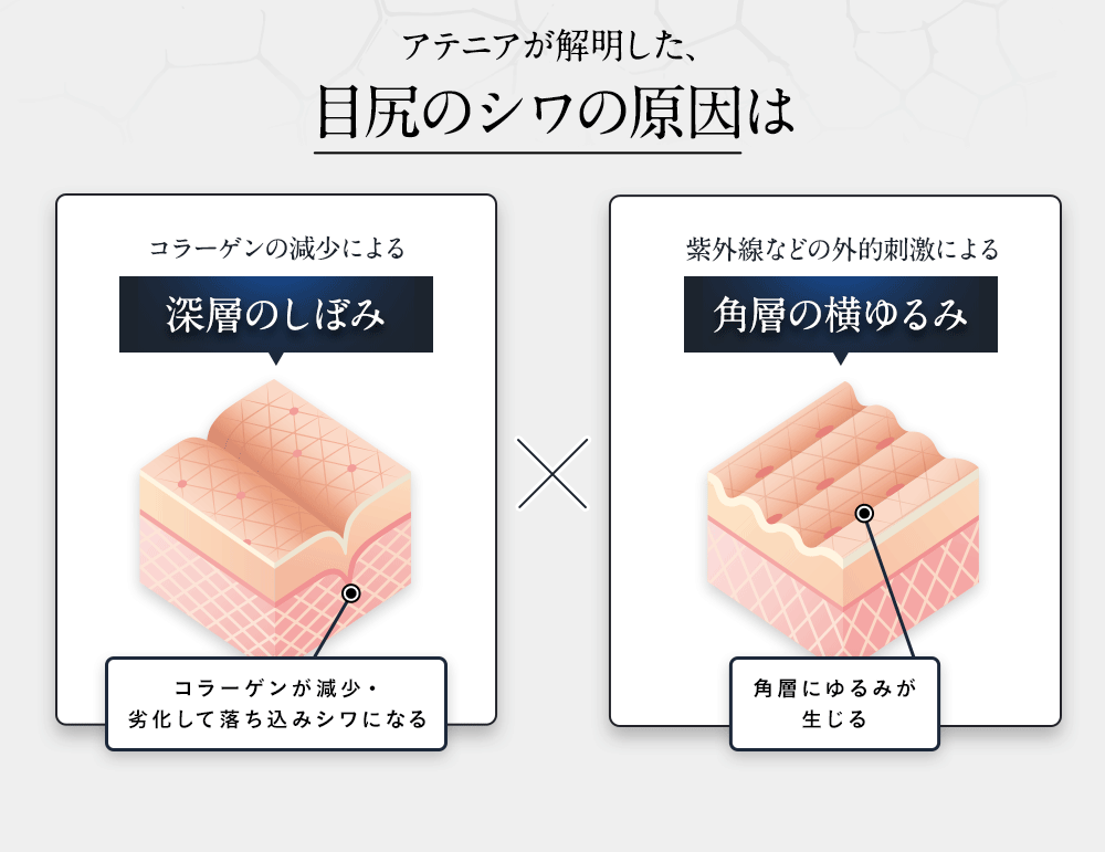 アテニアが解明した、目尻のシワの原因はコラーゲンの減少による深層のしぼみ / 紫外線などの外的刺激による角層の横ゆるみ