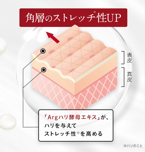 角層のストレッチ性UP 