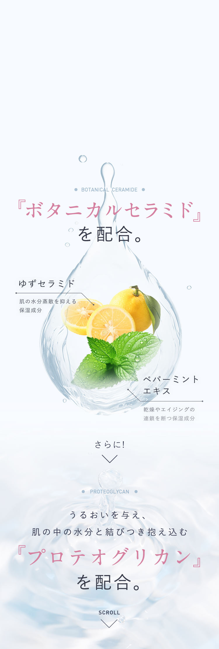 「ボタニカルセラミド」を配合。[ゆずセラミド：肌の水分蒸散を抑える保湿成分][ペパーミントエキス：乾燥やエイジングの連鎖を断つ保湿成分]さらに!うるおいを与え、肌の中の水分と結びつき抱え込む「プロテオグリカン」を配合。