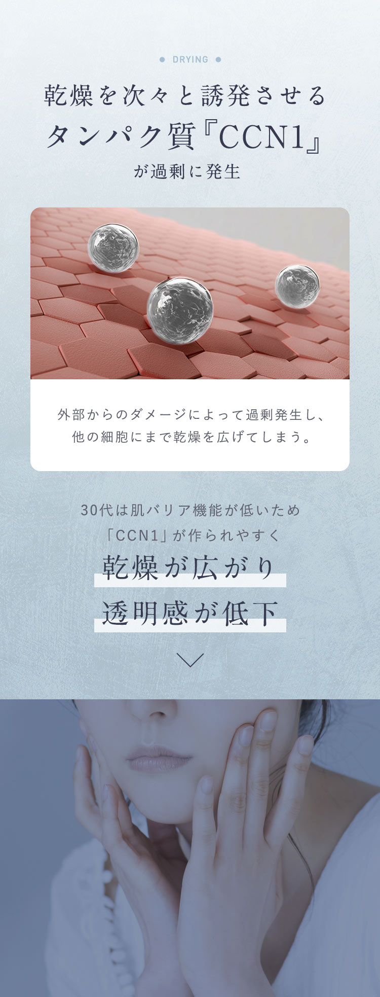 【乾燥を次々と誘発させるタンパク質「CCN1」が過剰に発生】「外部からのダメージによって過剰発生し、他の細胞にまで乾燥を広げてしまう。」30代は肌バリア機能が低いため「CCN1」が作られやすく乾燥が広がり透明感が低下