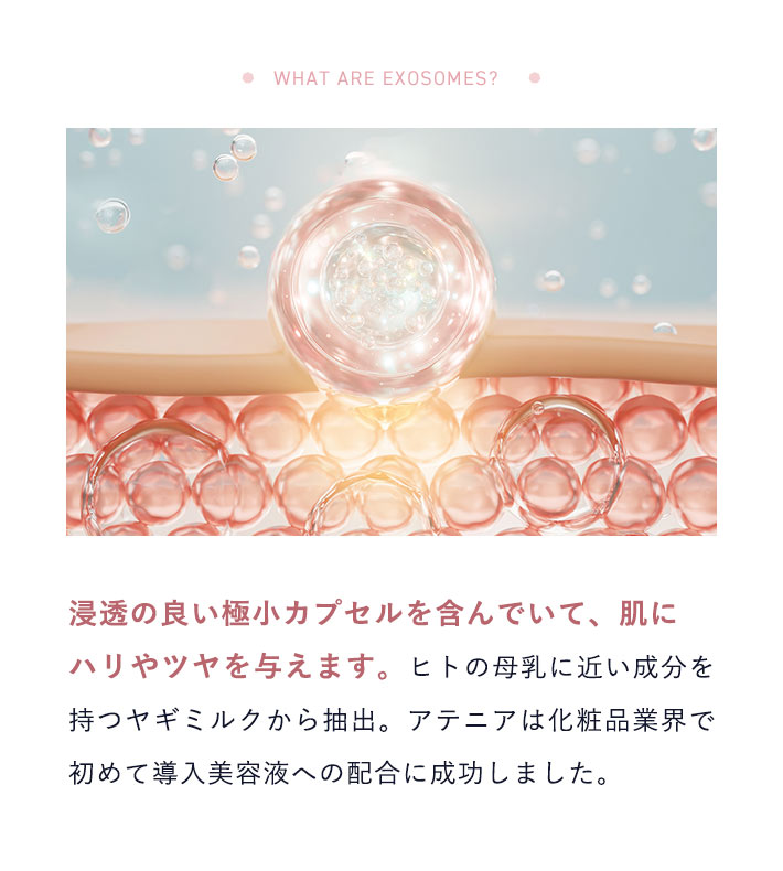 浸透の良い極小カプセルを含んでいて、肌にハリやツヤを与えます。ヒトの母乳に近い成分を持つヤギミルクから抽出。アテニアは化粧品業界で初めて導入美容液への配合に成功しました。
