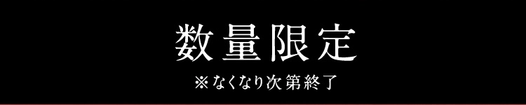 数量限定※なくなり次第終了