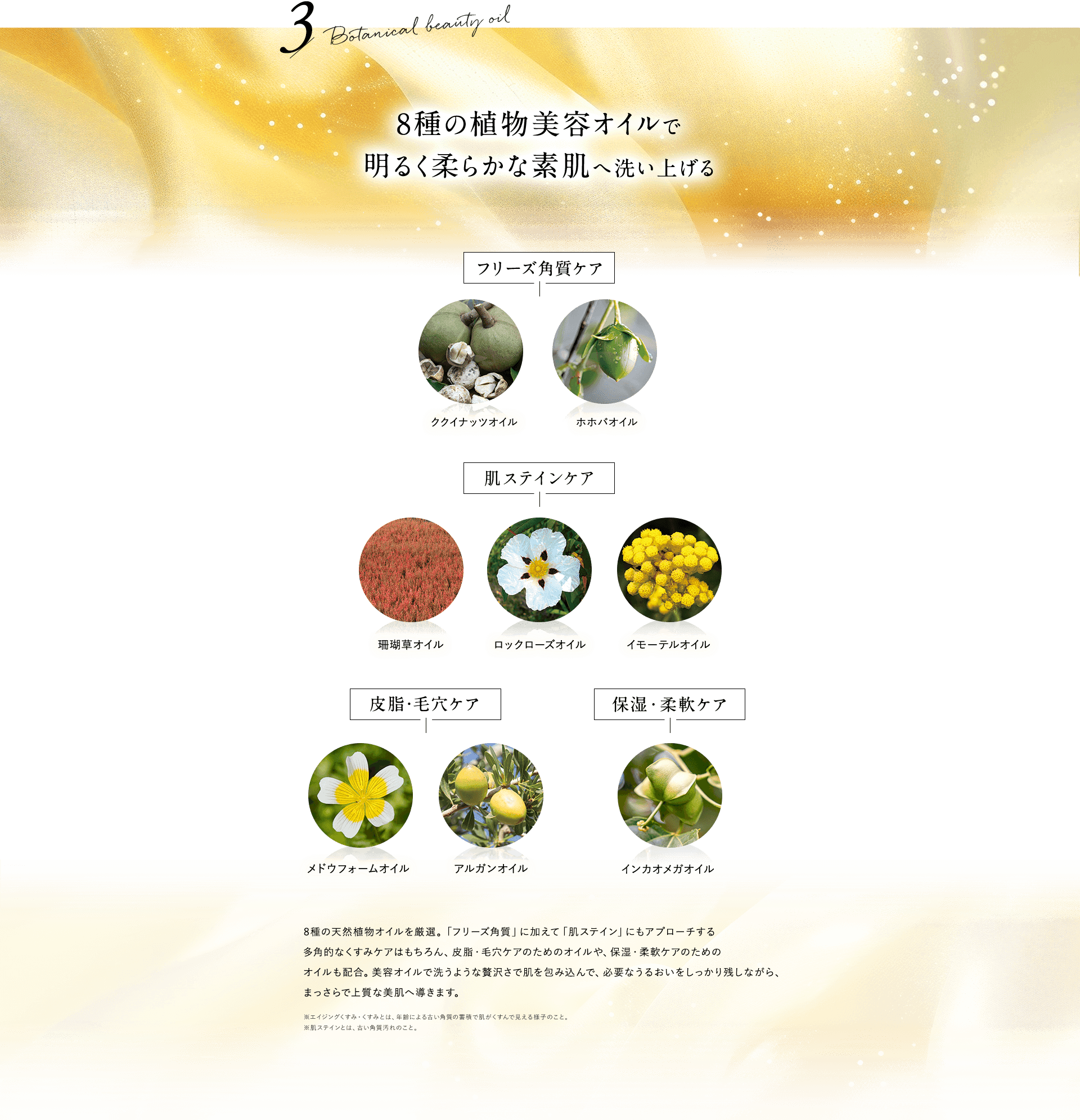 8種の植物美容オイルで明るく柔らかな素肌へ洗い上げる