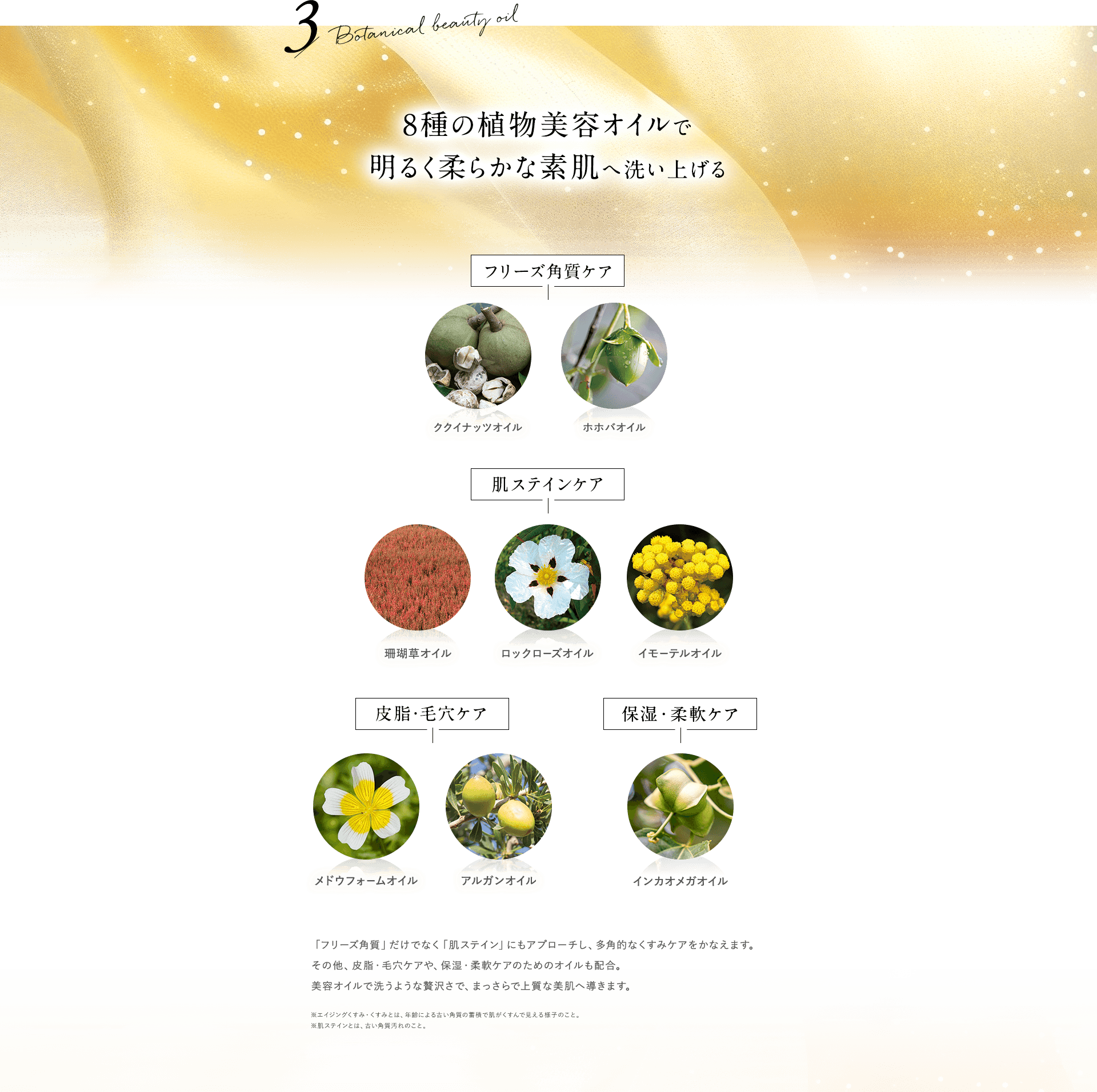 【３】8種の植物美容オイルで明るく柔らかな素肌へ洗い上げる