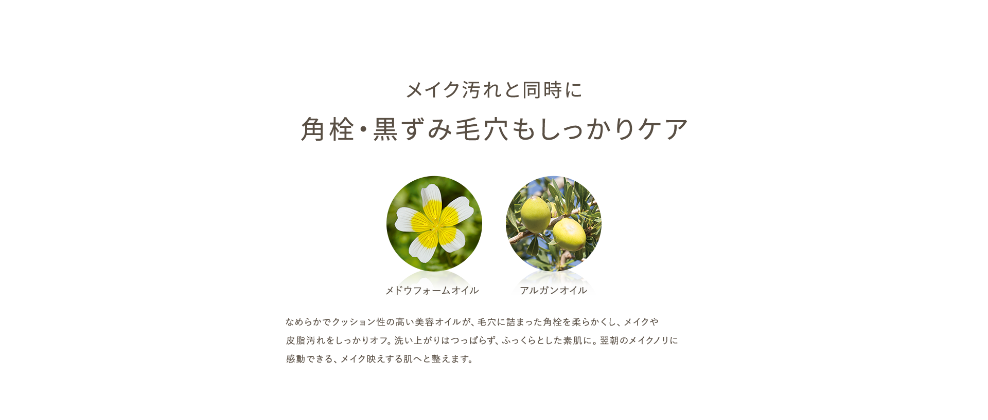 メイク汚れと同時に 角栓・黒ずみ毛穴もしっかりケア