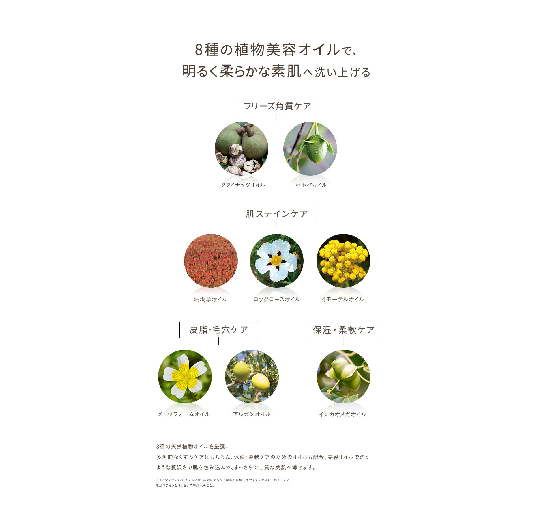8種の植物美容オイルで明るく柔らかな素肌へ洗い上げる