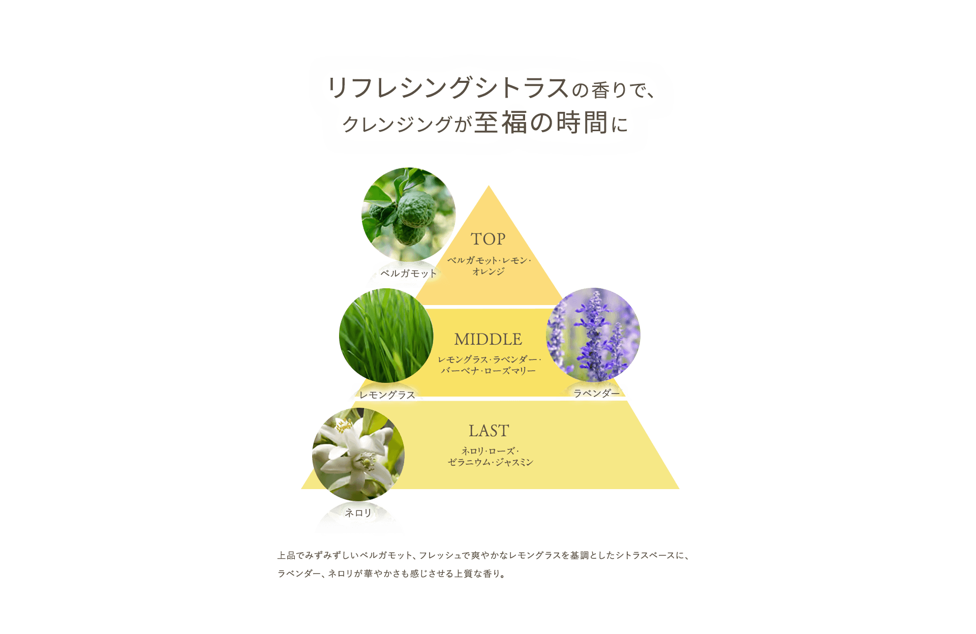 リフレシングシトラスの香りでクレンジングが至福の時間に