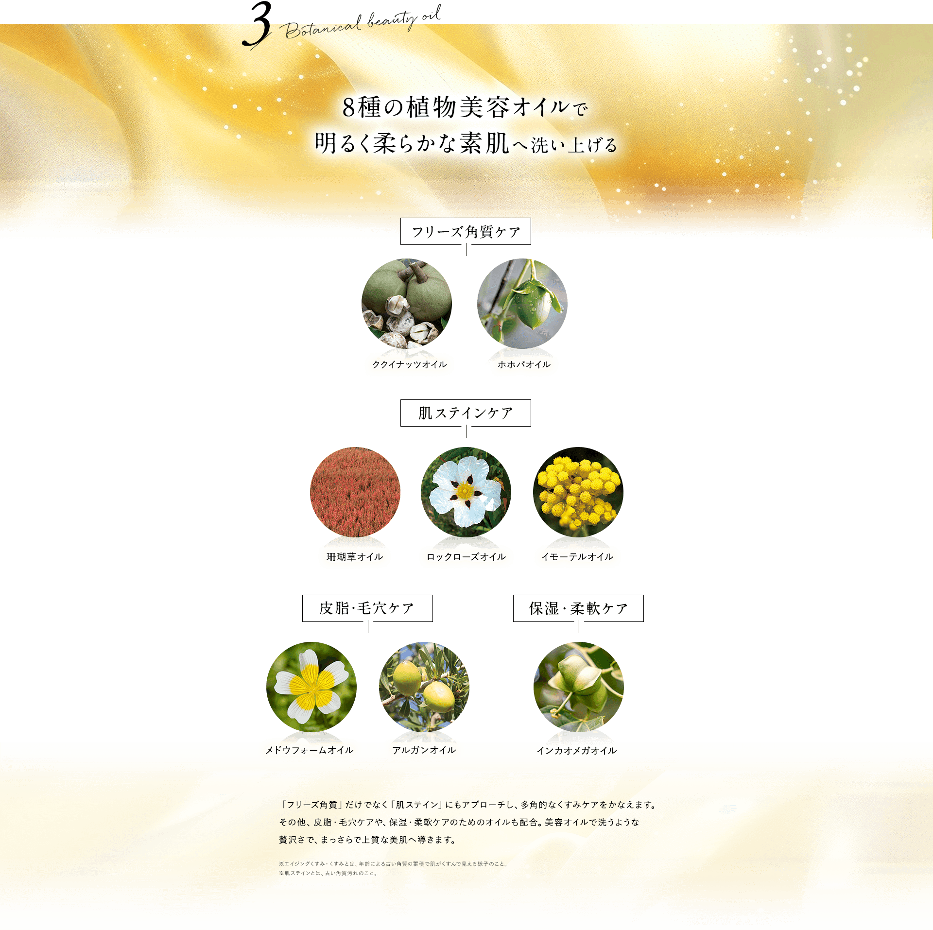 8種の植物美容オイルで明るく柔らかな素肌へ洗い上げる