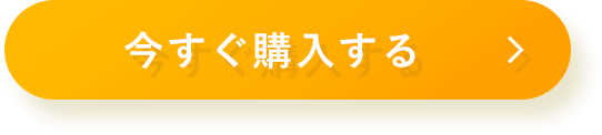 今すぐ購入する