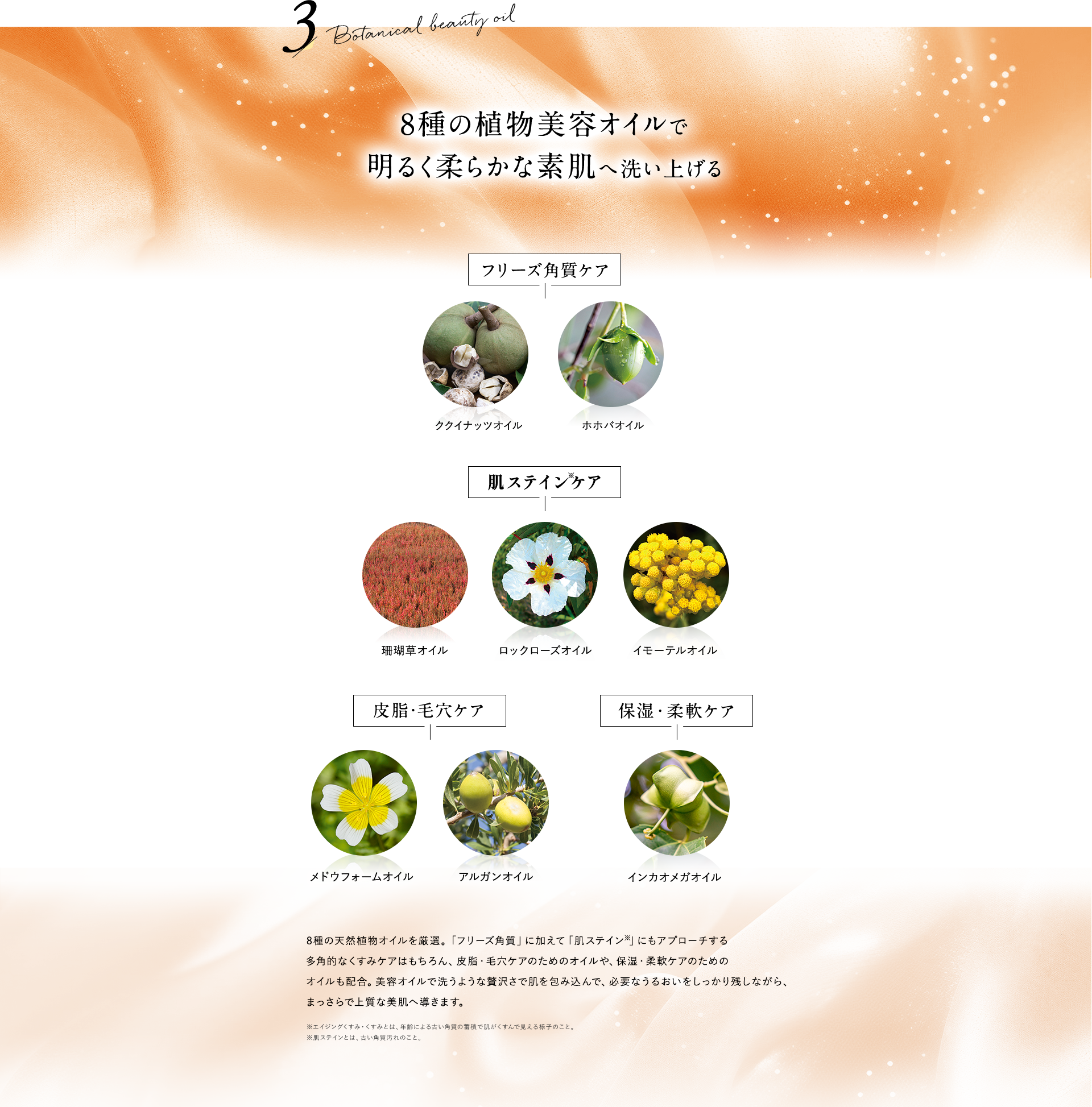 8種の植物美容オイルで明るく柔らかな素肌へ洗い上げる