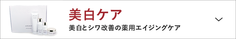アテニア attenir ログイン オンラインショップ オンライン サンプル お試し セット トライアル 公式 通販 初回 限定 トライアルセット キャンペーン お試し 1200円 毛穴 ケア アンチエイジング シワ 改善 化粧品 スキンケア 洗顔 乳液 クリーム
