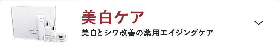 アテニア attenir ログイン オンラインショップ オンライン サンプル お試し セット トライアル 公式 通販 初回 限定 トライアルセット キャンペーン お試し 1200円 毛穴 ケア アンチエイジング シワ 改善 化粧品 スキンケア 洗顔 乳液 クリーム
