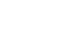 Used Item