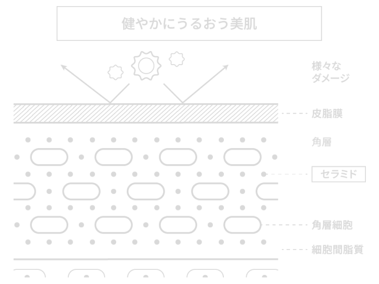 健やかにうるおう美肌