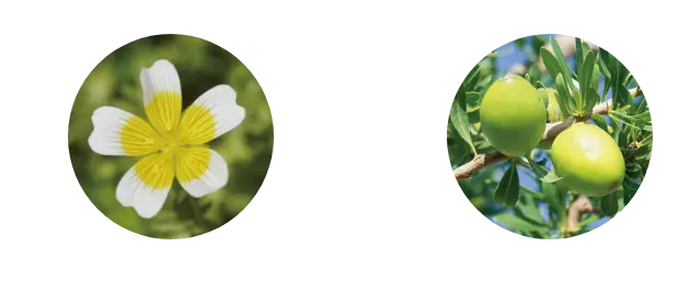 ククイナッツオイル ホホバオイル