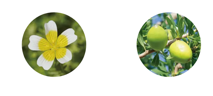 ククイナッツオイル ホホバオイル