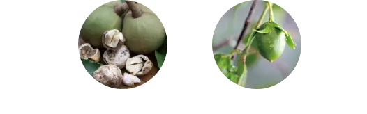 ククイナッツオイル ホホバオイル