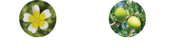 ククイナッツオイル ホホバオイル