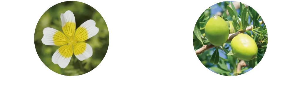 ククイナッツオイル ホホバオイル