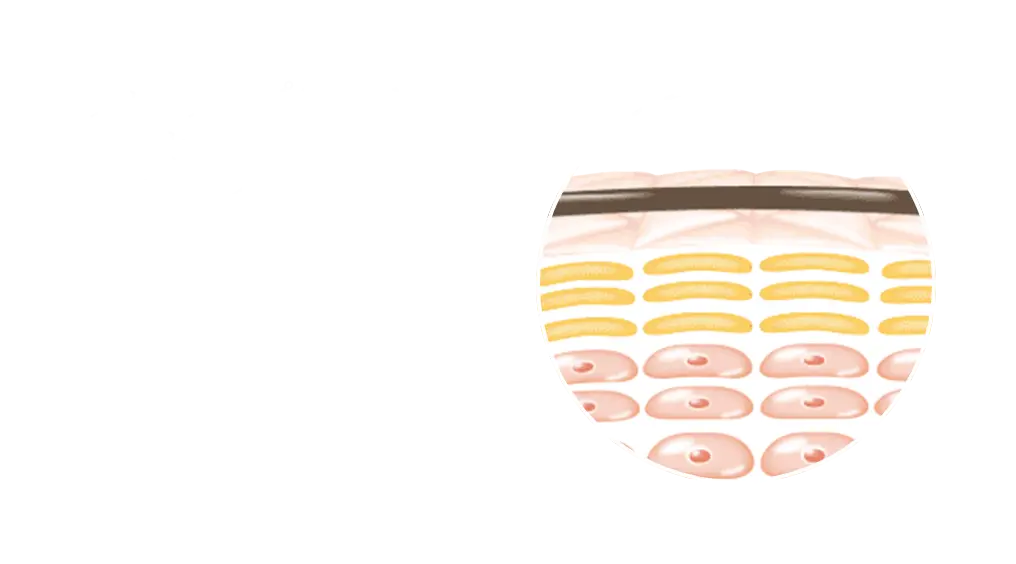 ウォータープルーフマスカラなどのメイク