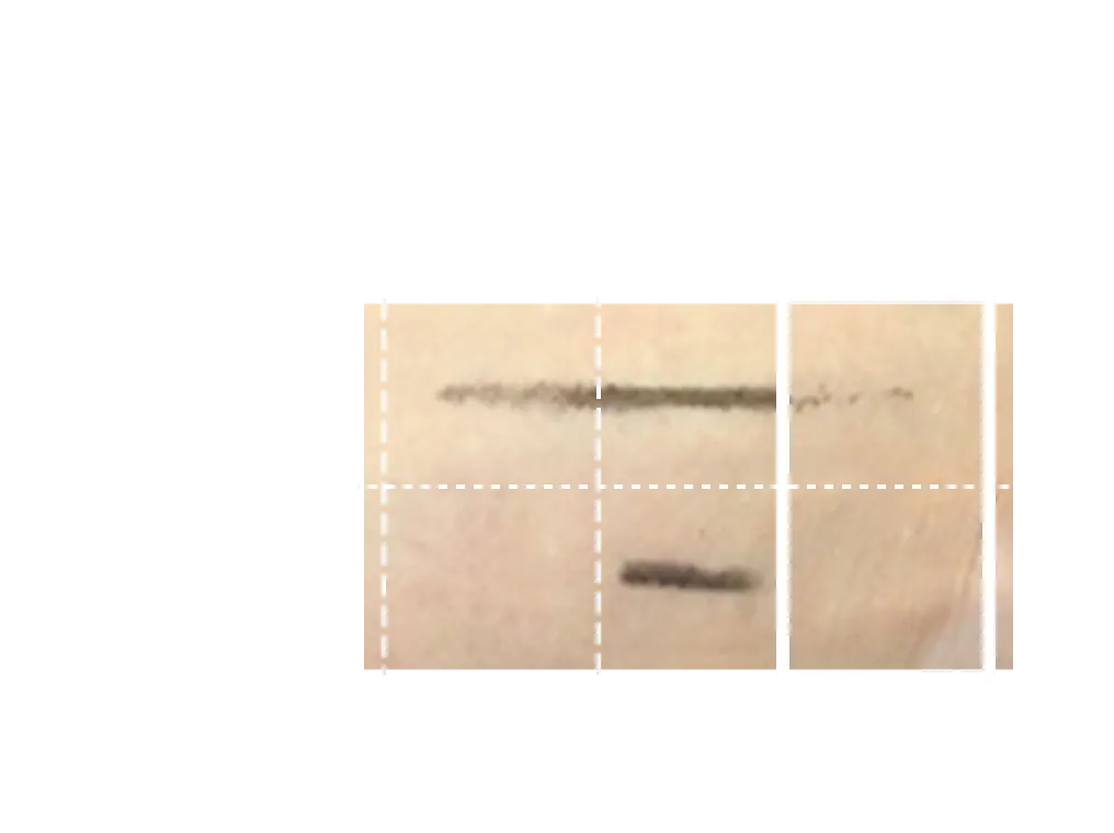 フィルム系アイライナーのクレンジング力もUP