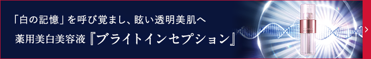 ブライトインセプション