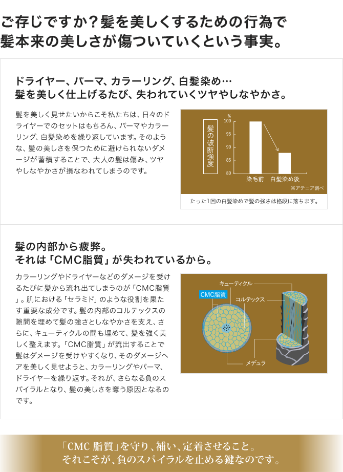 ご存じですか？髪を美しくするための行為で髪本来の美しさが傷ついていくという事実。