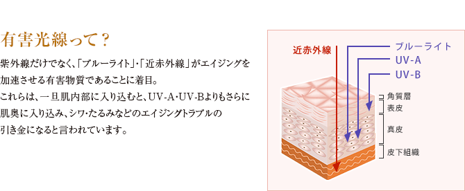 有害光線って?