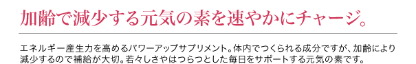 加齢で減少する元気の素を速やかにチャージ。