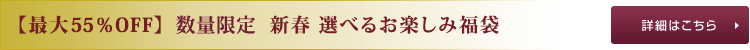【最大55%OFF】数量限定 新春 選べるお楽しみ福袋