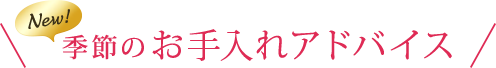 季節のお手入れアドバイス
