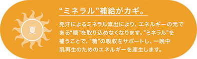 夏